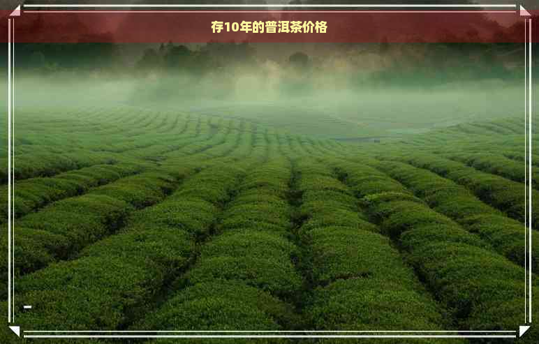 存10年的普洱茶价格