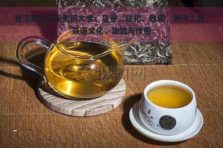 普洱茶的高级知识大全：品鉴、陈化、收藏、制作工艺、茶道文化、功效与作用