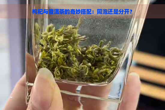 枸杞与普洱茶的奇妙搭配：同泡还是分开？