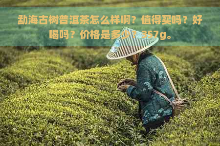 勐海古树普洱茶怎么样啊？值得买吗？好喝吗？价格是多少？357g。