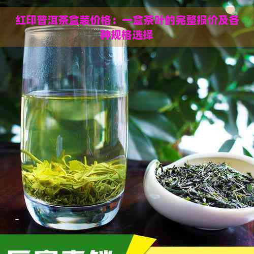 红印普洱茶盒装价格：一盒茶叶的完整报价及各种规格选择