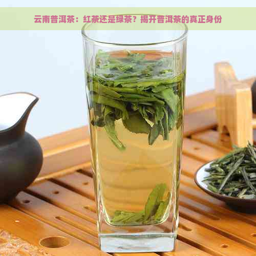 云南普洱茶：红茶还是绿茶？揭开普洱茶的真正身份