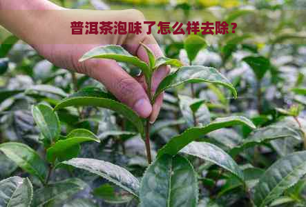 普洱茶泡味了怎么样去除？