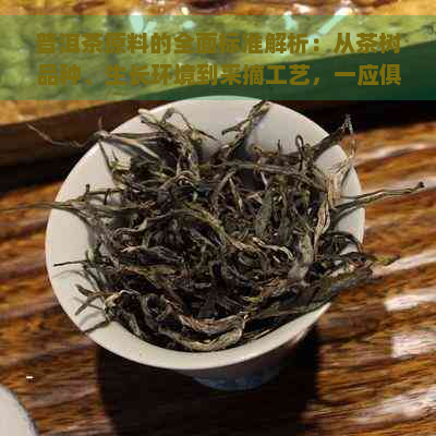 普洱茶原料的全面标准解析：从茶树品种、生长环境到采摘工艺，一应俱全