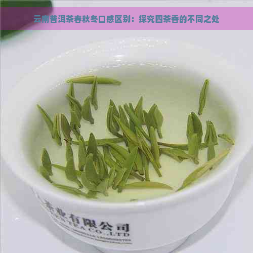 云南普洱茶春秋冬口感区别：探究四茶香的不同之处