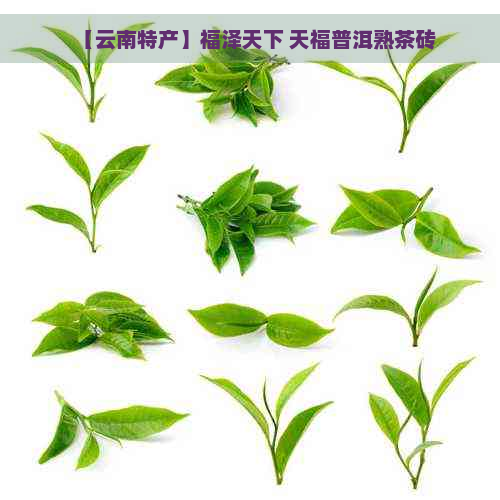 【云南特产】福泽天下 天福普洱熟茶砖