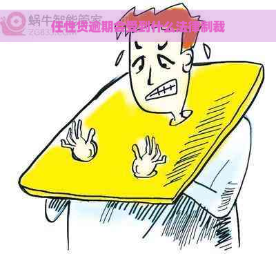 任性贷逾期会受到什么法律制裁