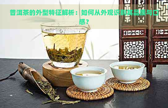 普洱茶的外型特征解析：如何从外观识别其品质与口感？