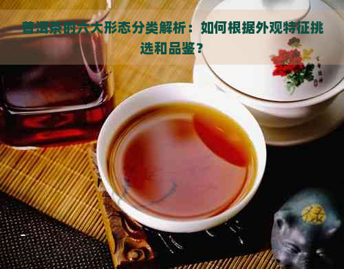 普洱茶的六大形态分类解析：如何根据外观特征挑选和品鉴？