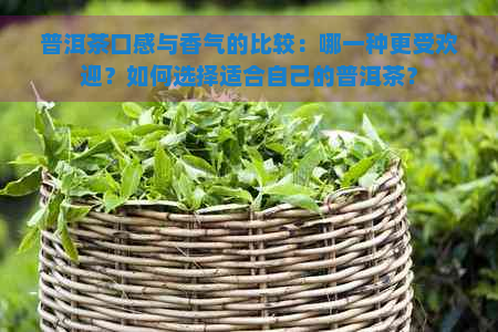 普洱茶口感与香气的比较：哪一种更受欢迎？如何选择适合自己的普洱茶？