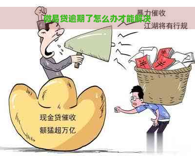 微易贷逾期了怎么办才能解决