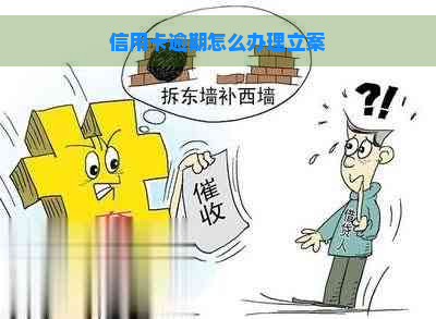 信用卡逾期怎么办理立案