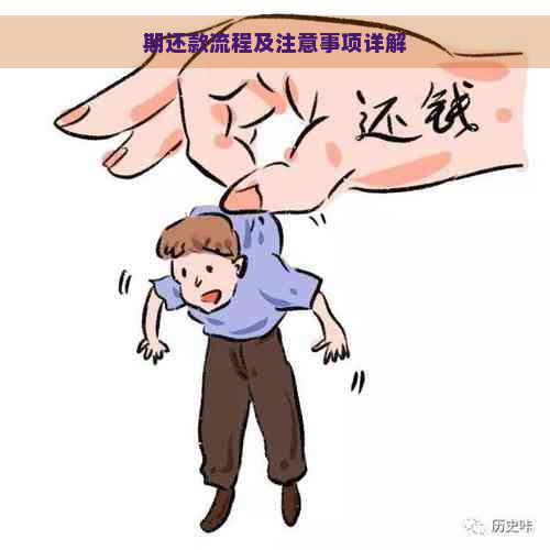 期还款流程及注意事项详解