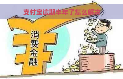 支付宝逾期半年了怎么解决