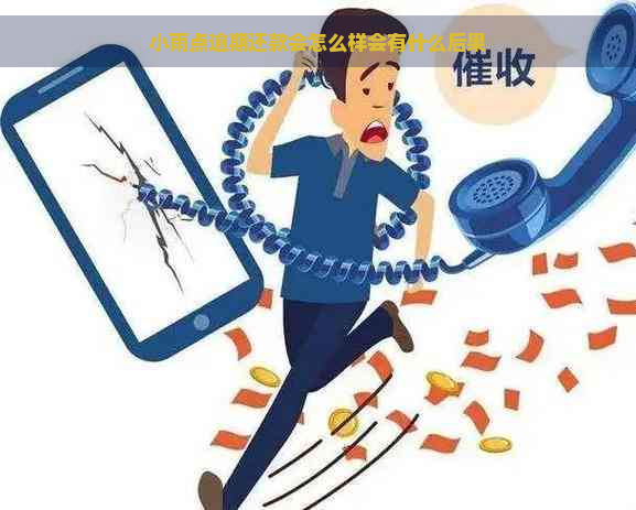 小雨点逾期还款会怎么样会有什么后果