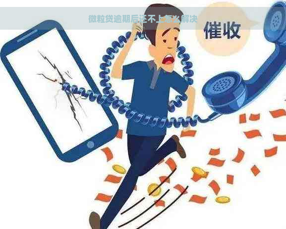 微粒贷逾期后还不上怎么解决