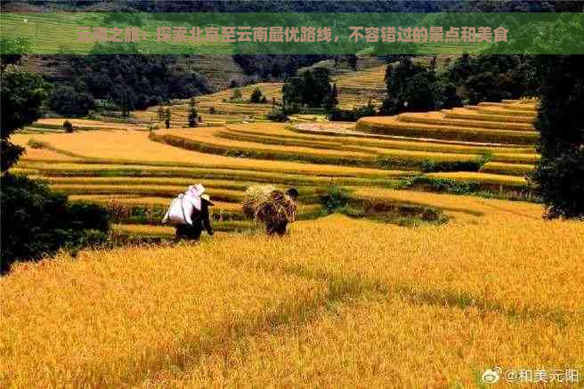 云南之旅：探索北京至云南更优路线，不容错过的景点和美食