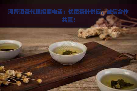 河普洱茶代理招商电话：优质茶叶供应，诚信合作共赢！