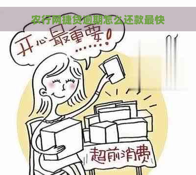 农行网捷贷逾期怎么还款最快