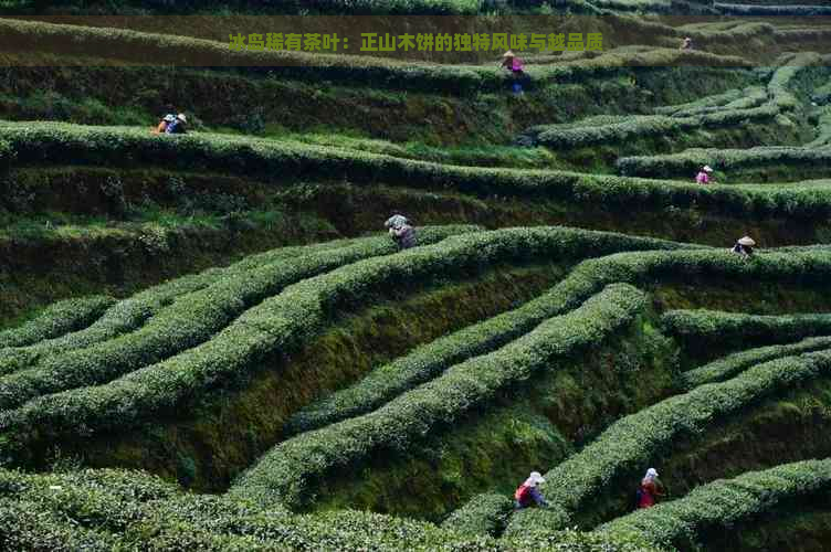 冰岛稀有茶叶：正山木饼的独特风味与越品质