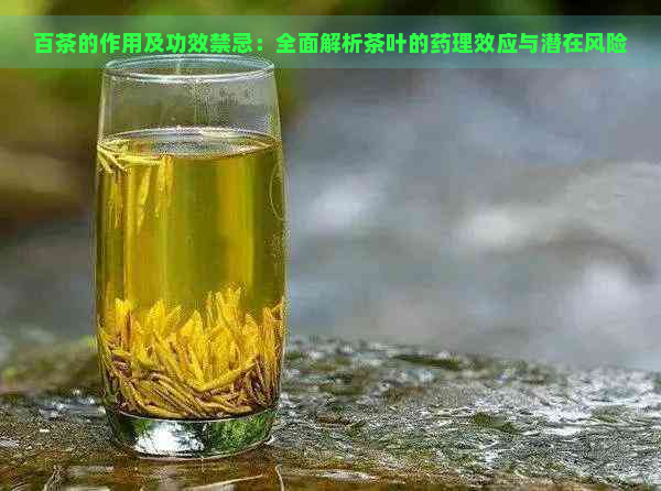 百茶的作用及功效禁忌：全面解析茶叶的药理效应与潜在风险