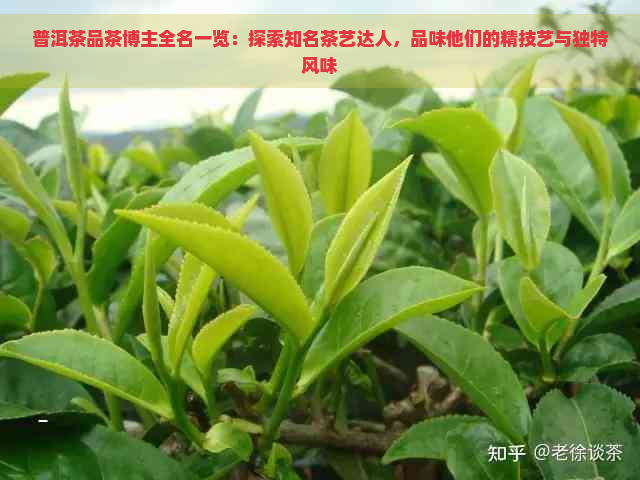 普洱茶品茶博主全名一览：探索知名茶艺达人，品味他们的精技艺与独特风味