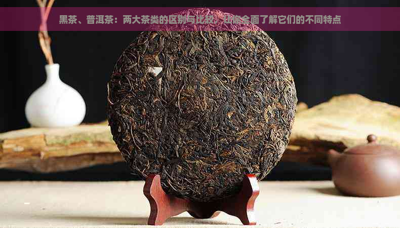 黑茶、普洱茶：两大茶类的区别与比较，让你全面了解它们的不同特点