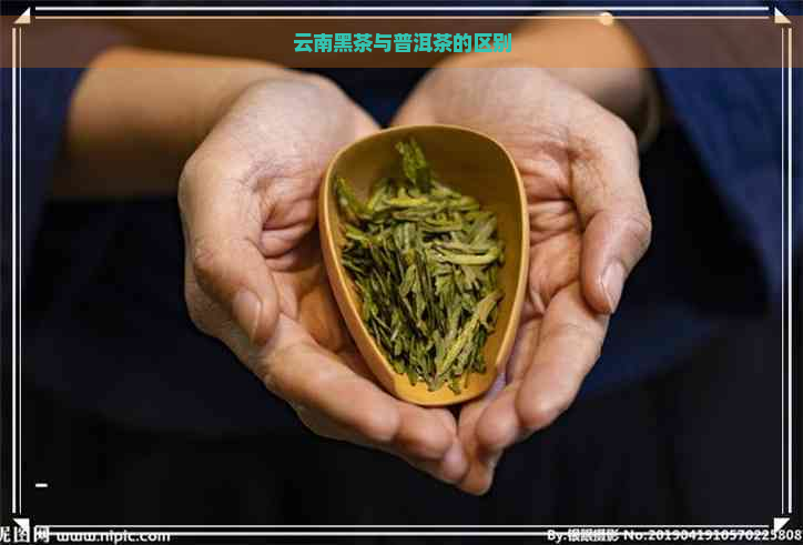 云南黑茶与普洱茶的区别