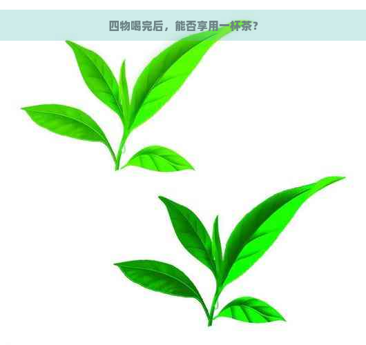 四物喝完后，能否享用一杯茶？