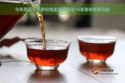 今年景迈古春茶价格走势分析与16年老树春茶比较