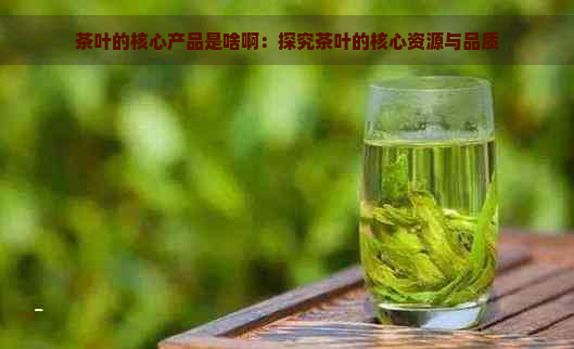 茶叶的核心产品是啥啊：探究茶叶的核心资源与品质