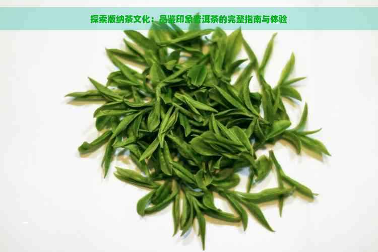 探索版纳茶文化：品鉴印象普洱茶的完整指南与体验