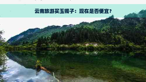 云南旅游买玉镯子：现在是否便宜？