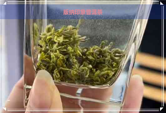 版纳印象普洱茶