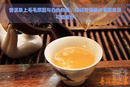 普洱茶上毛毛原因与白色物质：探讨普洱茶长毛现象及可能成分