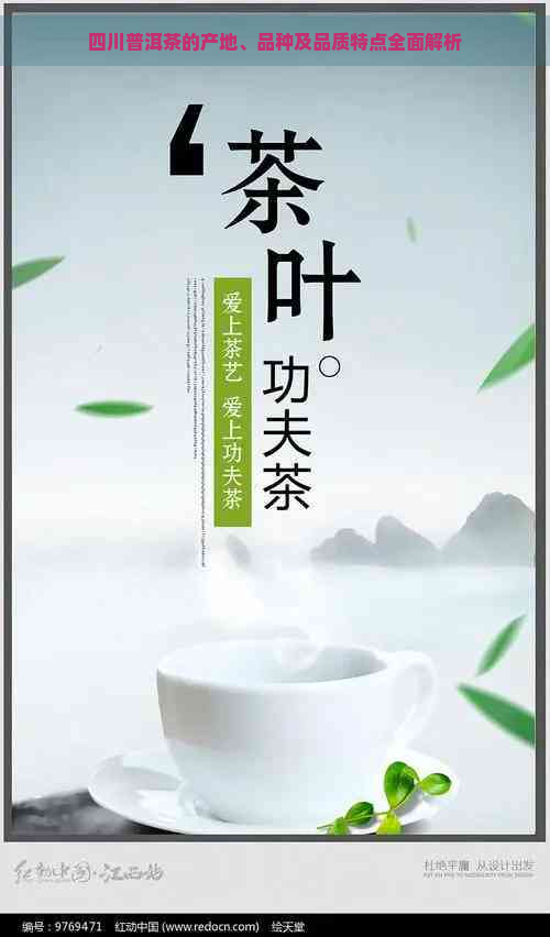 四川普洱茶的产地、品种及品质特点全面解析