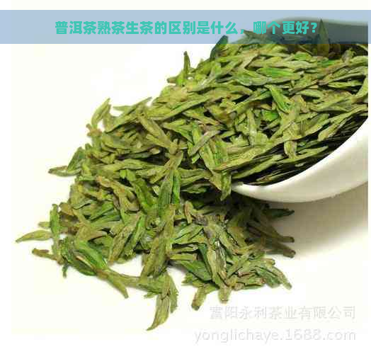 普洱茶熟茶生茶的区别是什么，哪个更好？