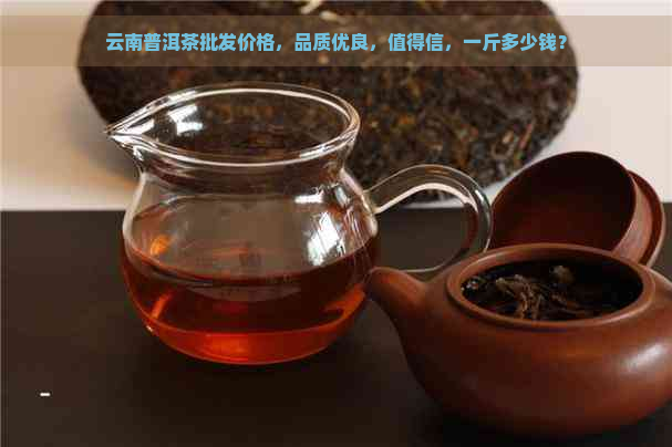 云南普洱茶批发价格，品质优良，值得信，一斤多少钱？