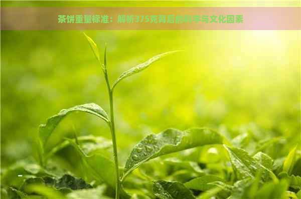 茶饼重量标准：解析375克背后的科学与文化因素