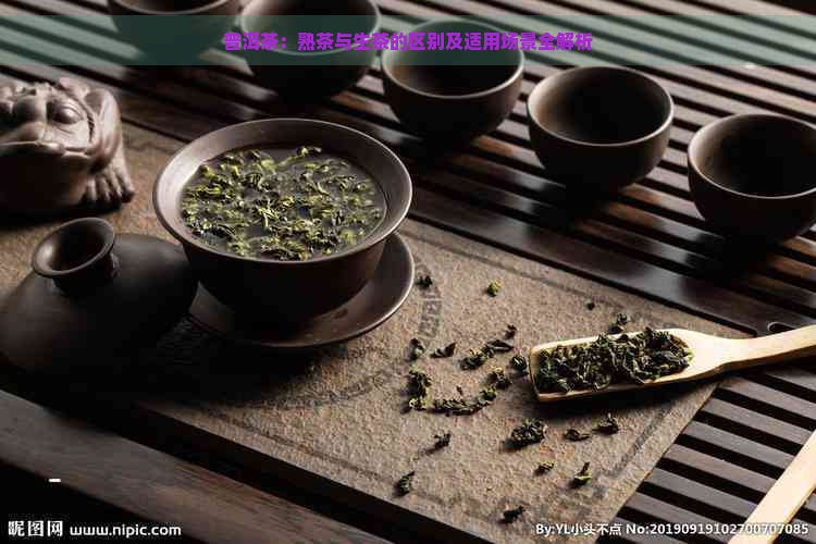 普洱茶：熟茶与生茶的区别及适用场景全解析