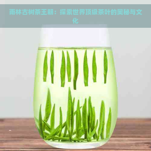 雨林古树茶王朝：探索世界顶级茶叶的奥秘与文化