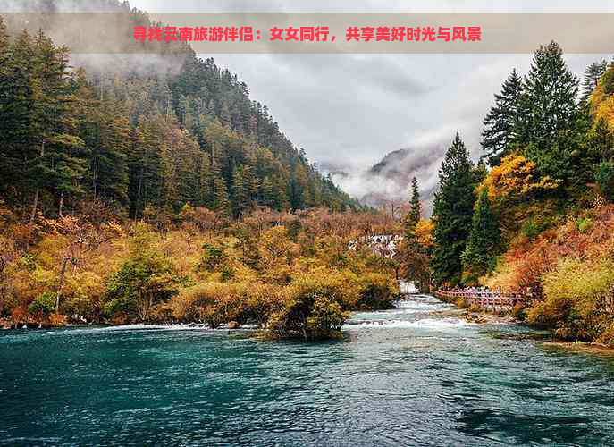 寻找云南旅游伴侣：女女同行，共享美好时光与风景