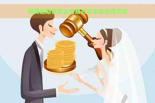 网贷逾期后怎么协商只还本金处理方式