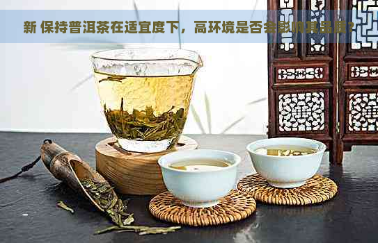 新 保持普洱茶在适宜度下，高环境是否会影响其品质？