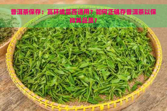 普洱茶保存：高环境是否适用？如何正确存普洱茶以保持其品质？