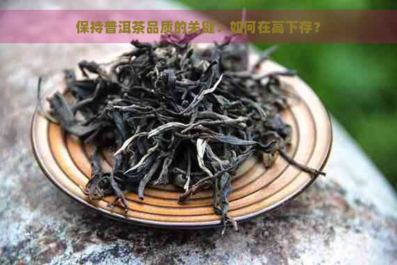 保持普洱茶品质的关键：如何在高下存？