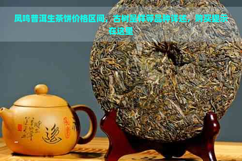 凤鸣普洱生茶饼价格区间，古树呈祥等品种详述，购买提示在这里