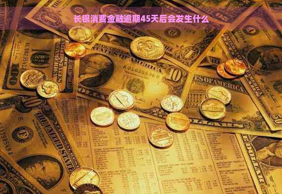 长银消费金融逾期45天后会发生什么