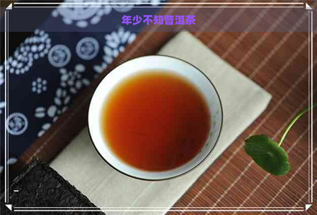 年少不知普洱茶