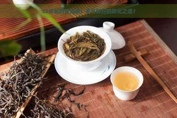 15年后的普洱茶：岁月静好的陈化之道？